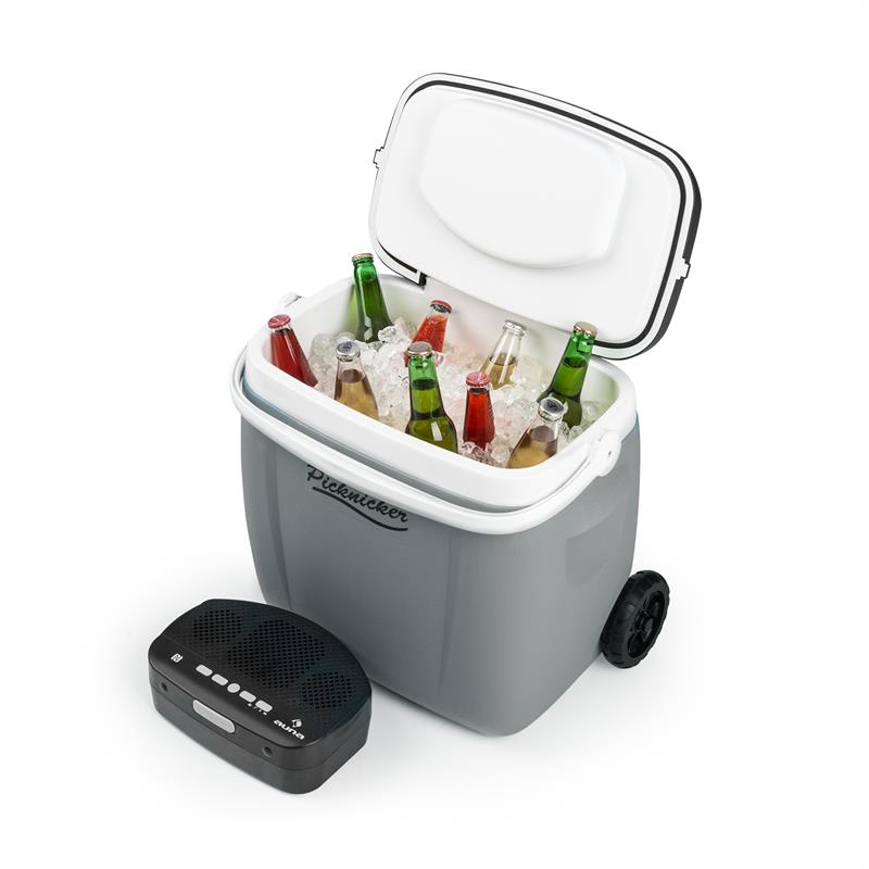 Auna Picknicker Trolley Music Cooler