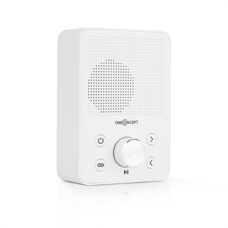 OneConcept Plug+Play FM